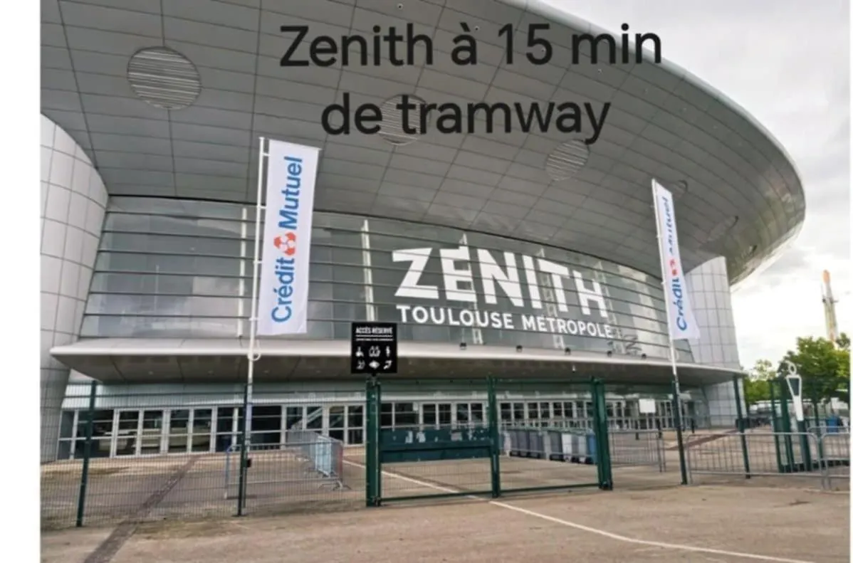 Nuit Romantique avec Jacuzzi à 15 min de Toulouse Blagnac Appartement